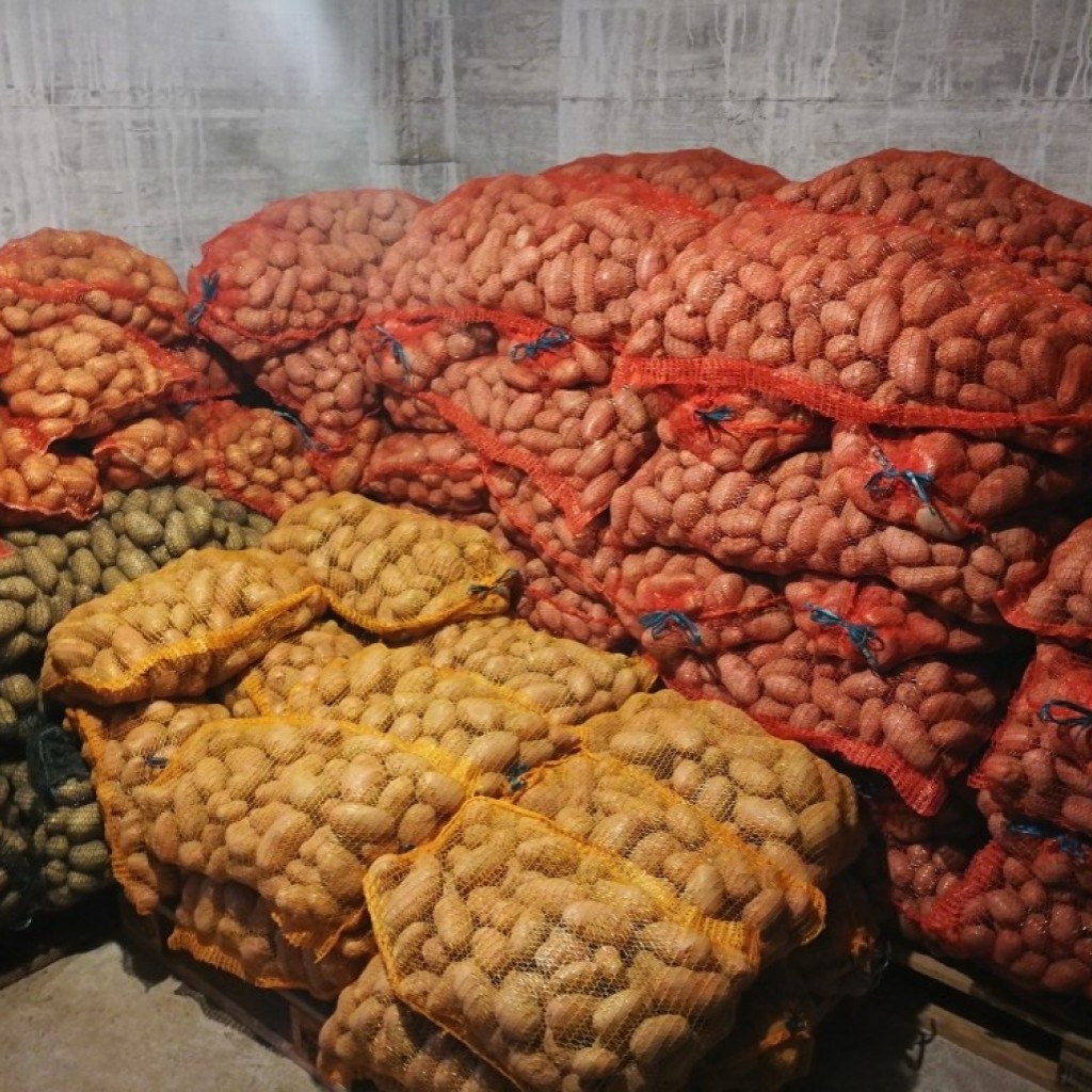 krompir DESIREE