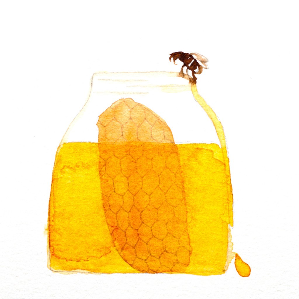 čebelko apikompleks 450 g 