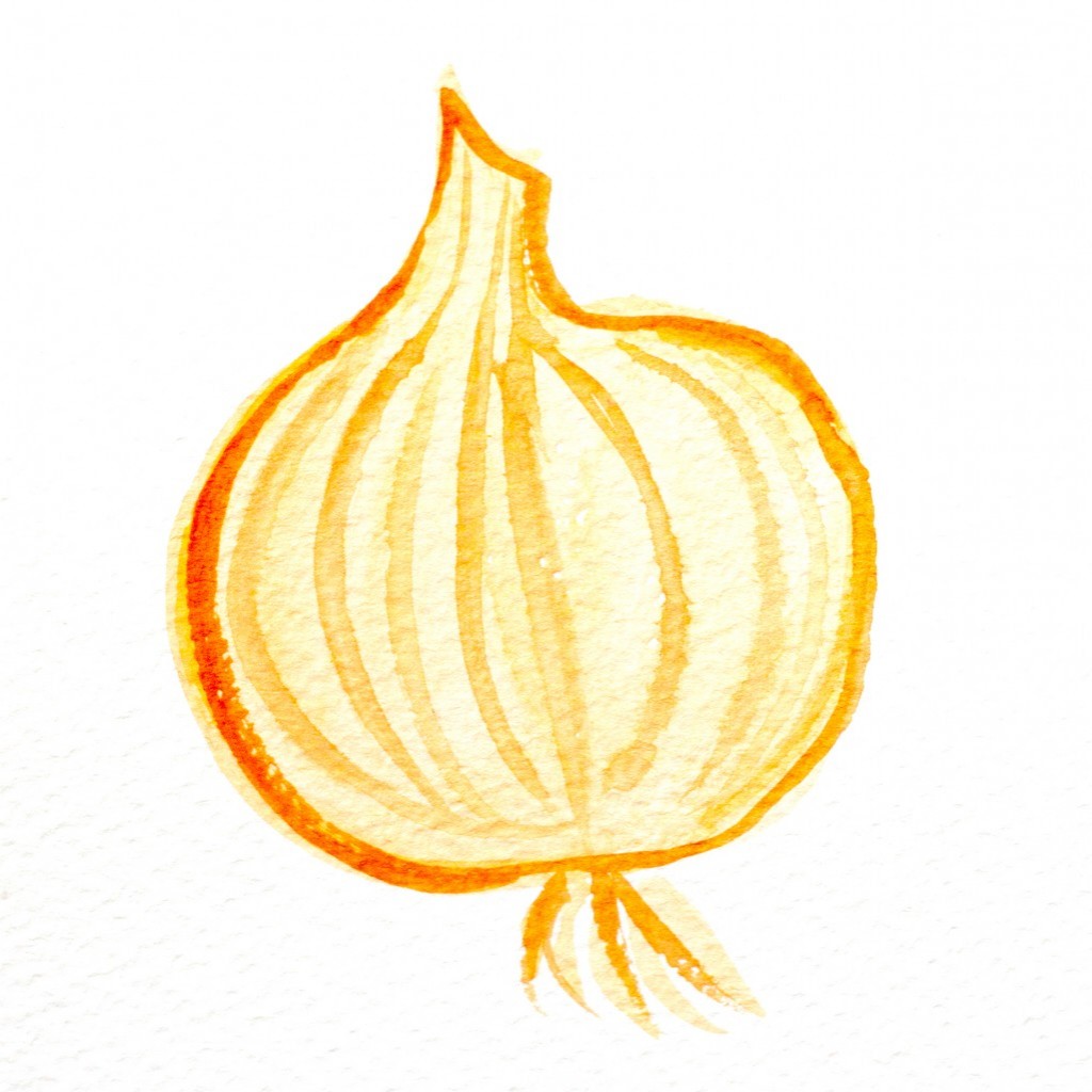 čebula