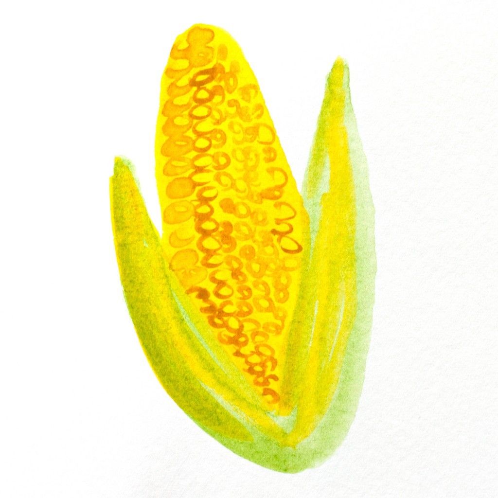 koruza